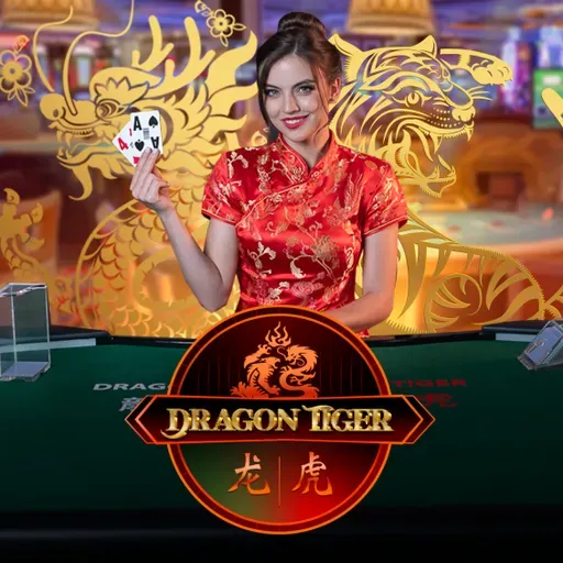 Live dragon tiger